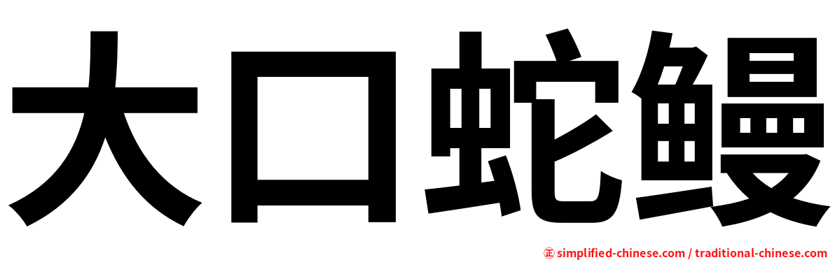 大口蛇鳗