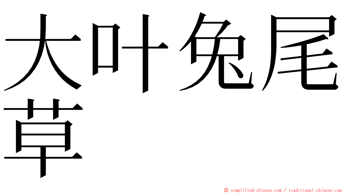 大叶兔尾草 ming font