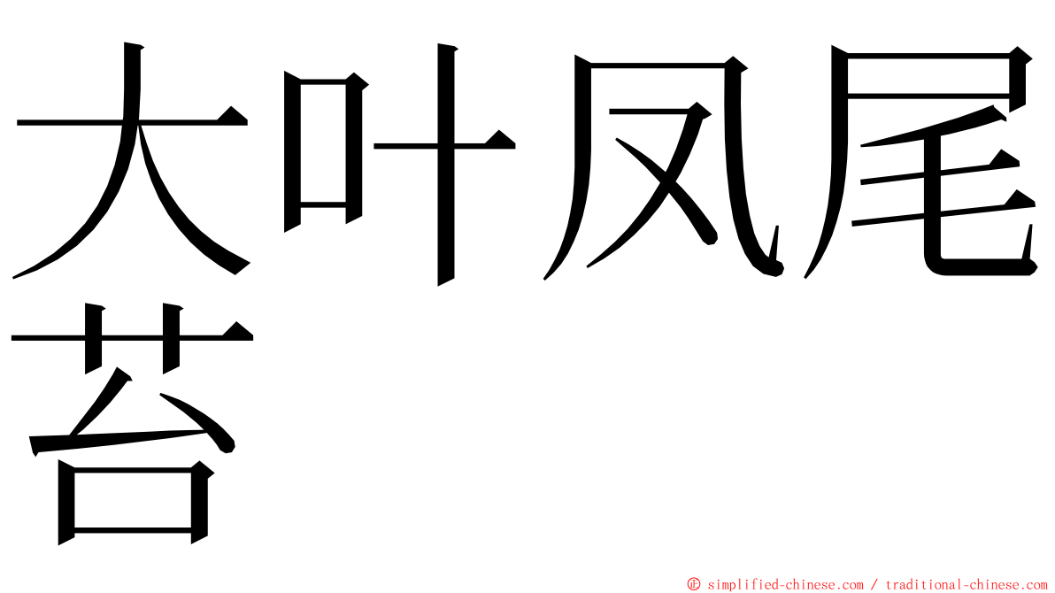 大叶凤尾苔 ming font
