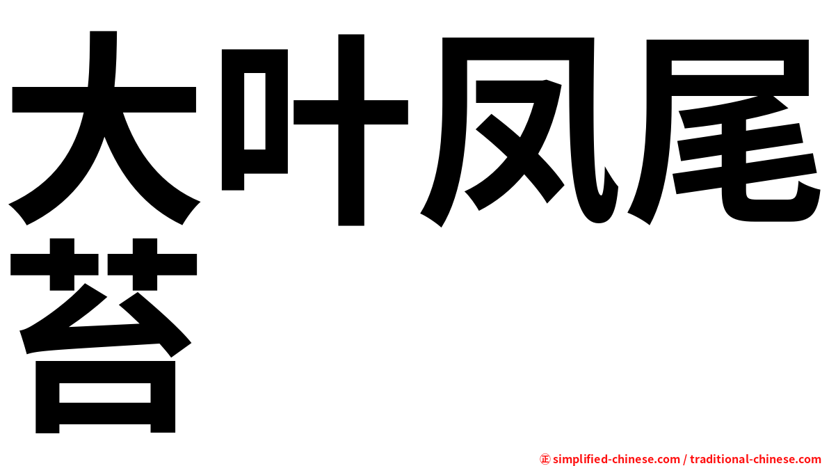大叶凤尾苔