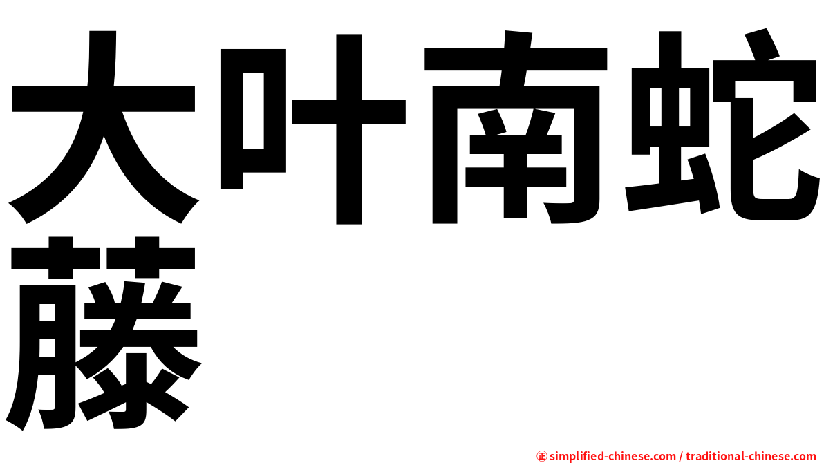 大叶南蛇藤