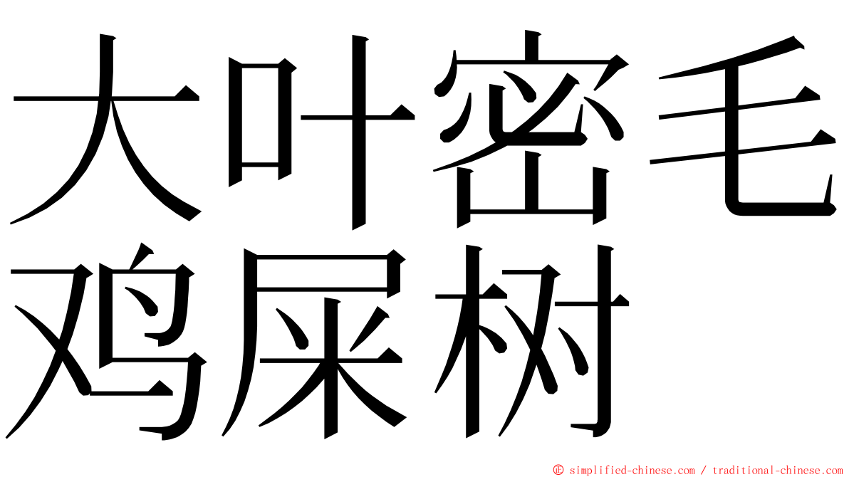 大叶密毛鸡屎树 ming font