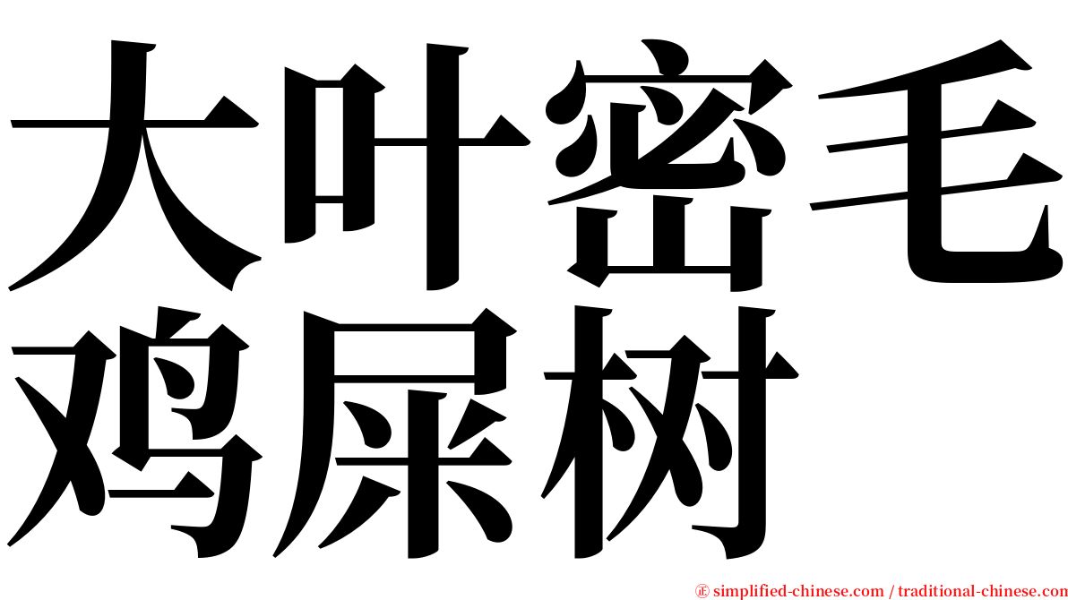 大叶密毛鸡屎树 serif font