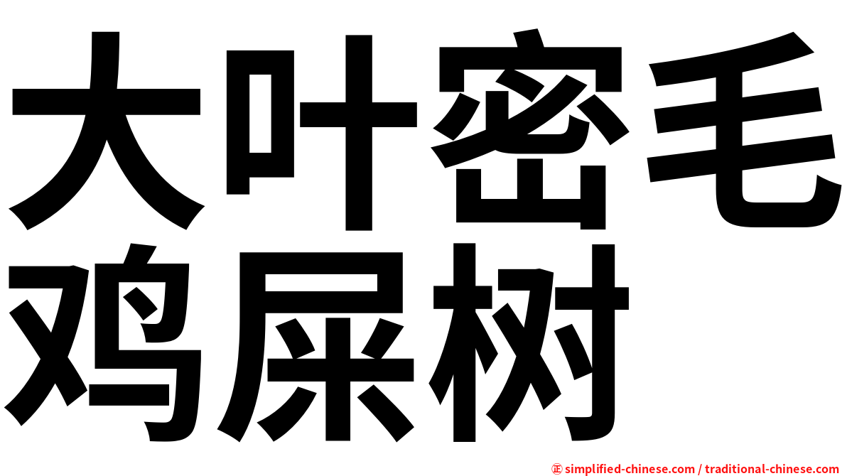 大叶密毛鸡屎树