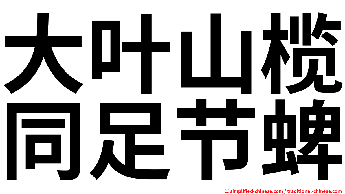 大叶山榄同足节蜱