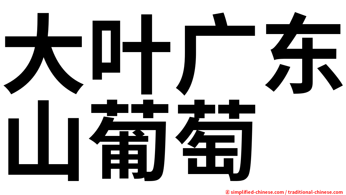大叶广东山葡萄