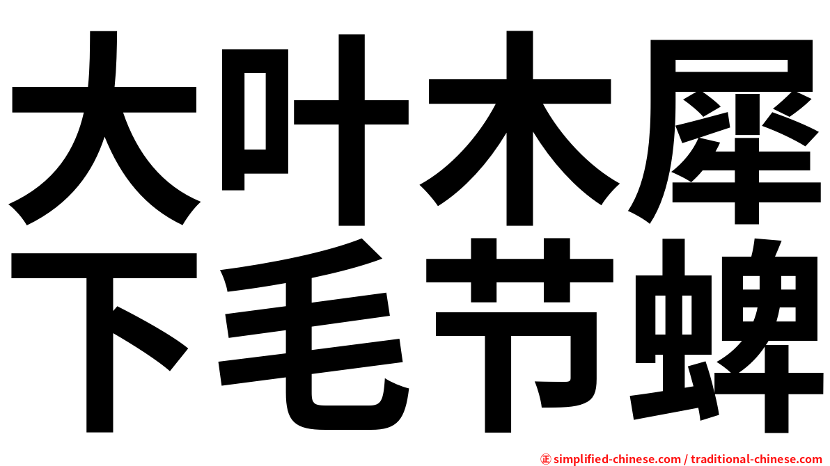 大叶木犀下毛节蜱