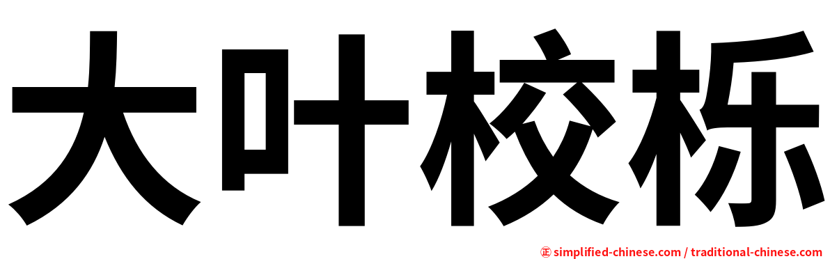 大叶校栎