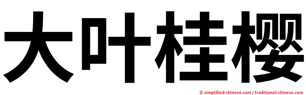 大叶桂樱