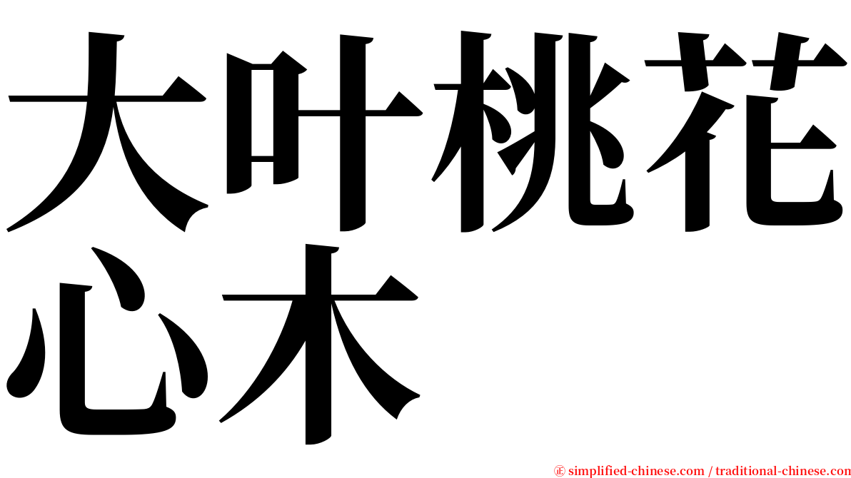 大叶桃花心木 serif font