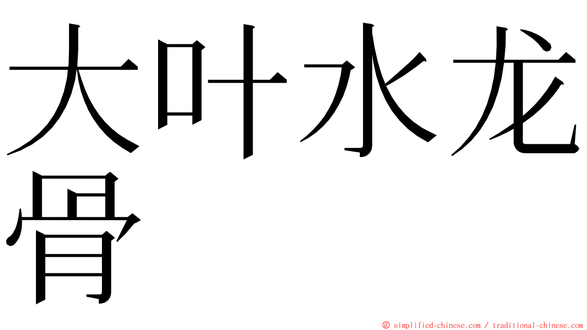 大叶水龙骨 ming font