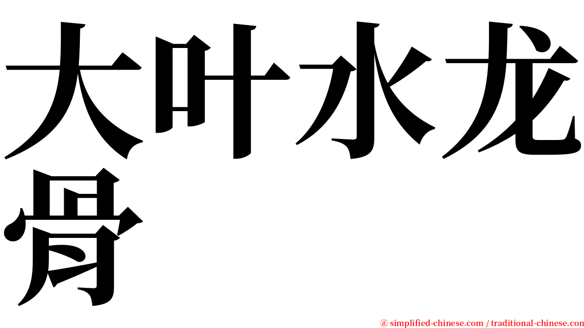 大叶水龙骨 serif font