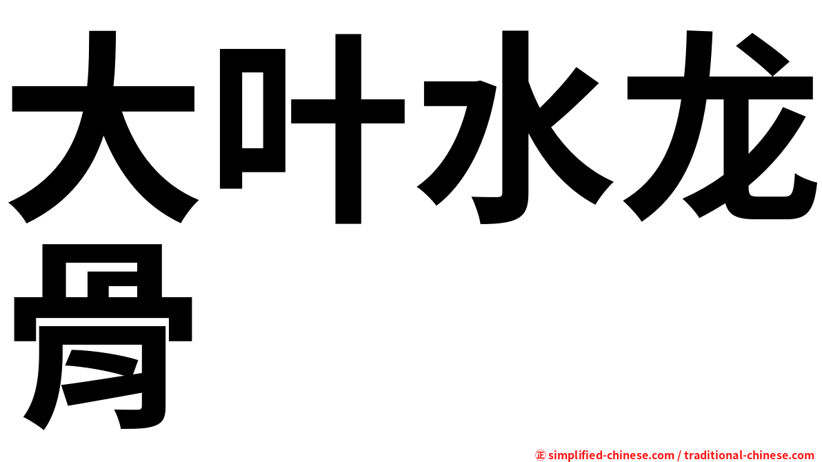 大叶水龙骨