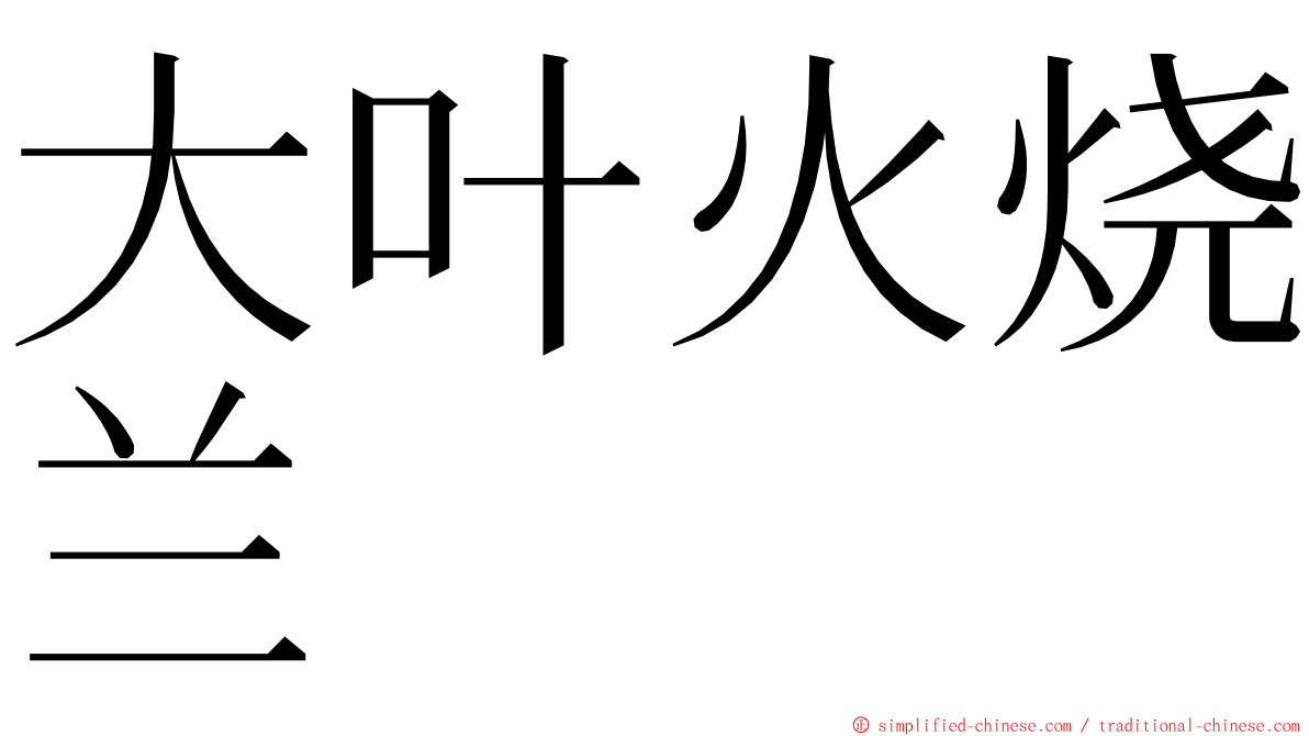 大叶火烧兰 ming font
