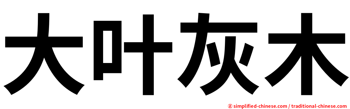 大叶灰木