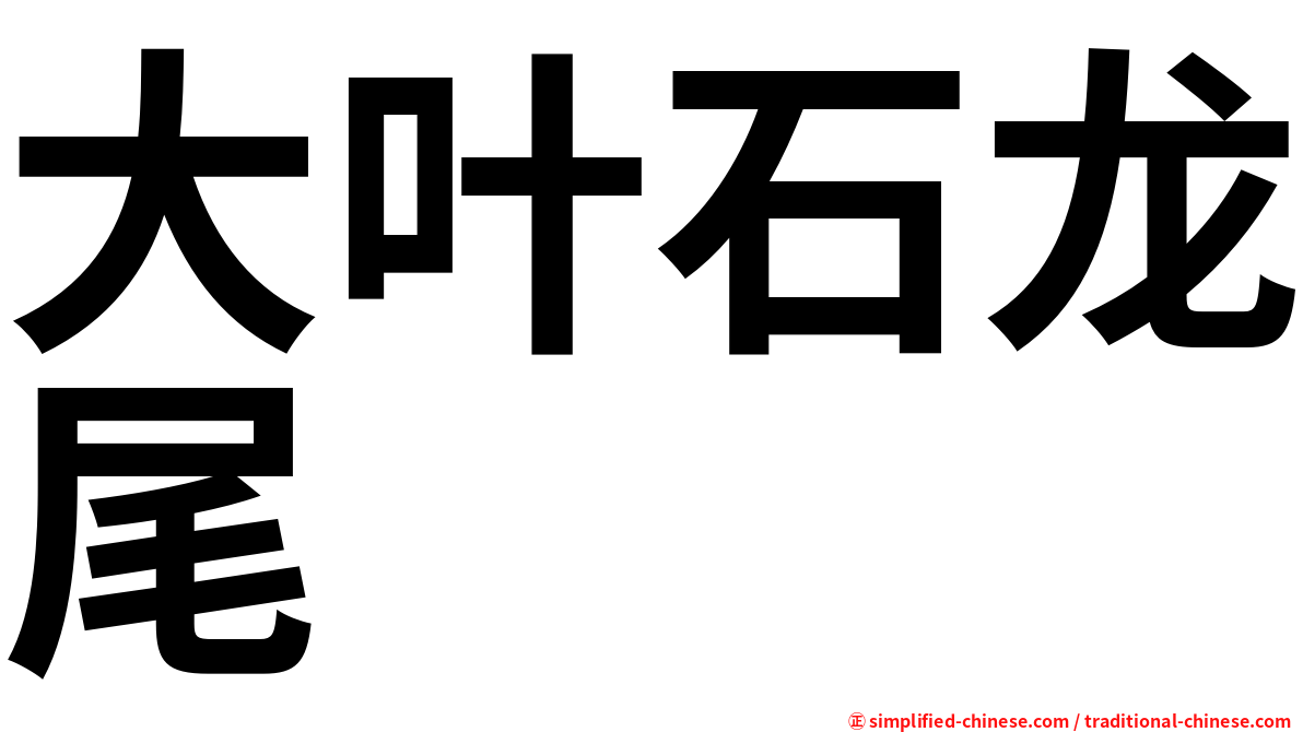 大叶石龙尾