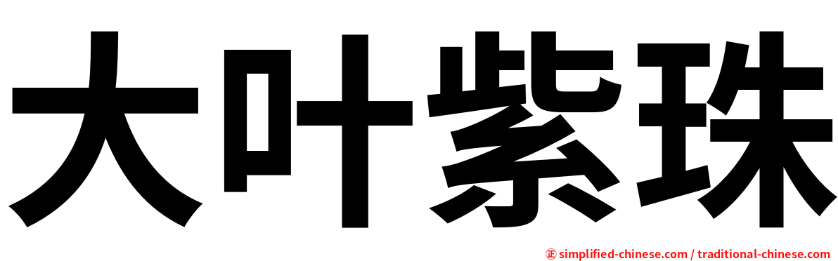 大叶紫珠