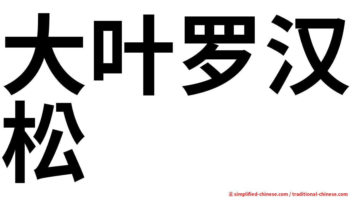 大叶罗汉松