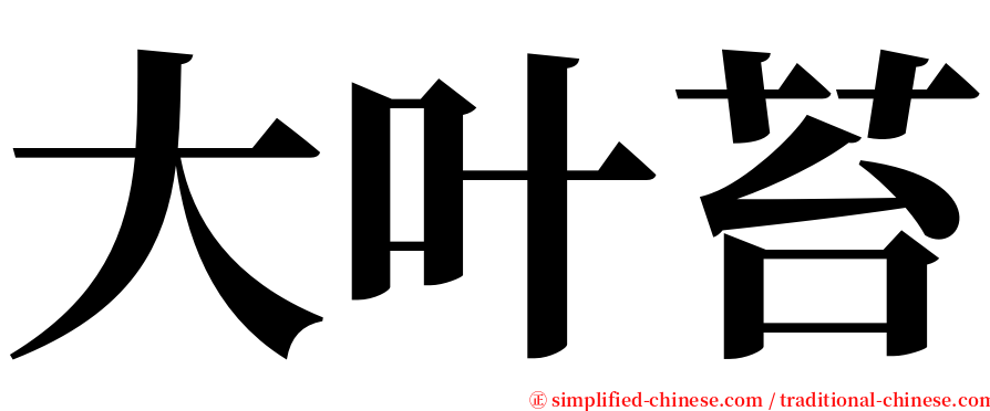 大叶苔 serif font