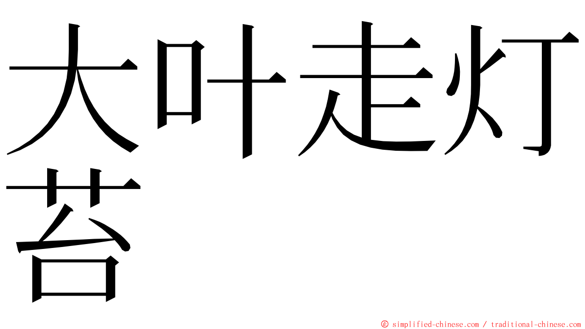 大叶走灯苔 ming font