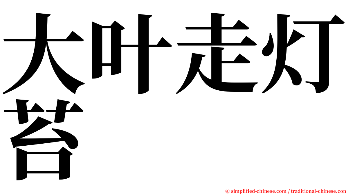 大叶走灯苔 serif font