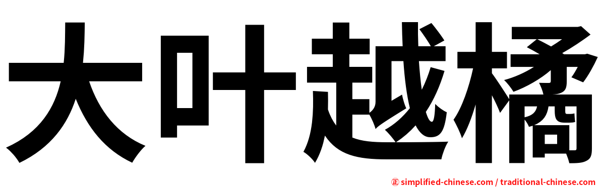 大叶越橘