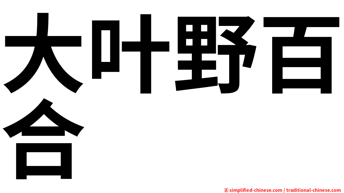 大叶野百合
