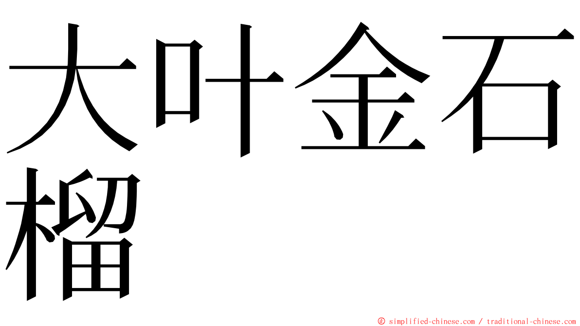 大叶金石榴 ming font