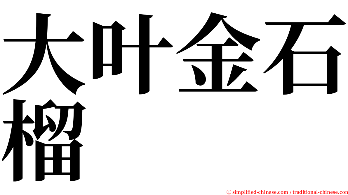 大叶金石榴 serif font