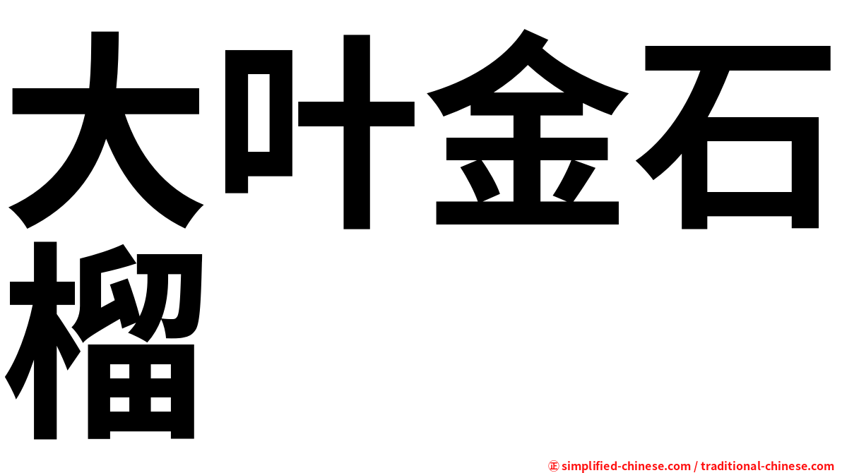 大叶金石榴
