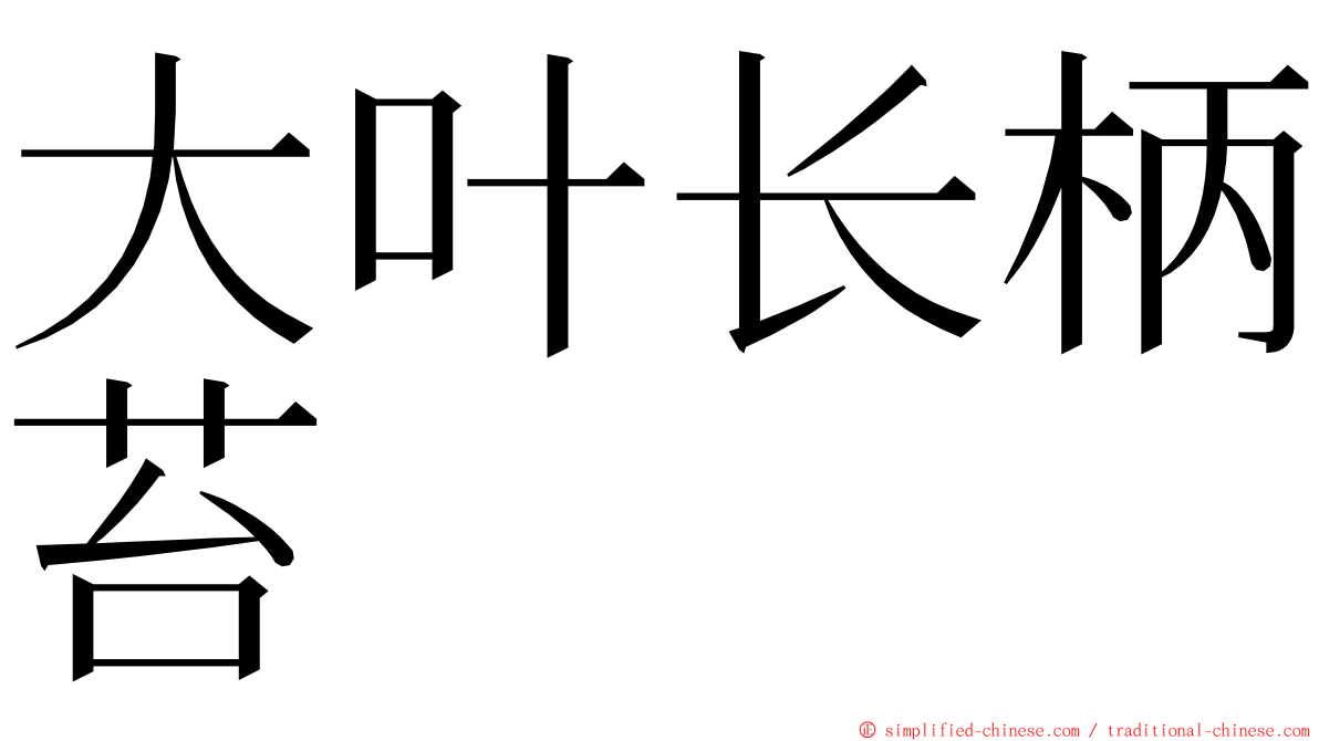 大叶长柄苔 ming font