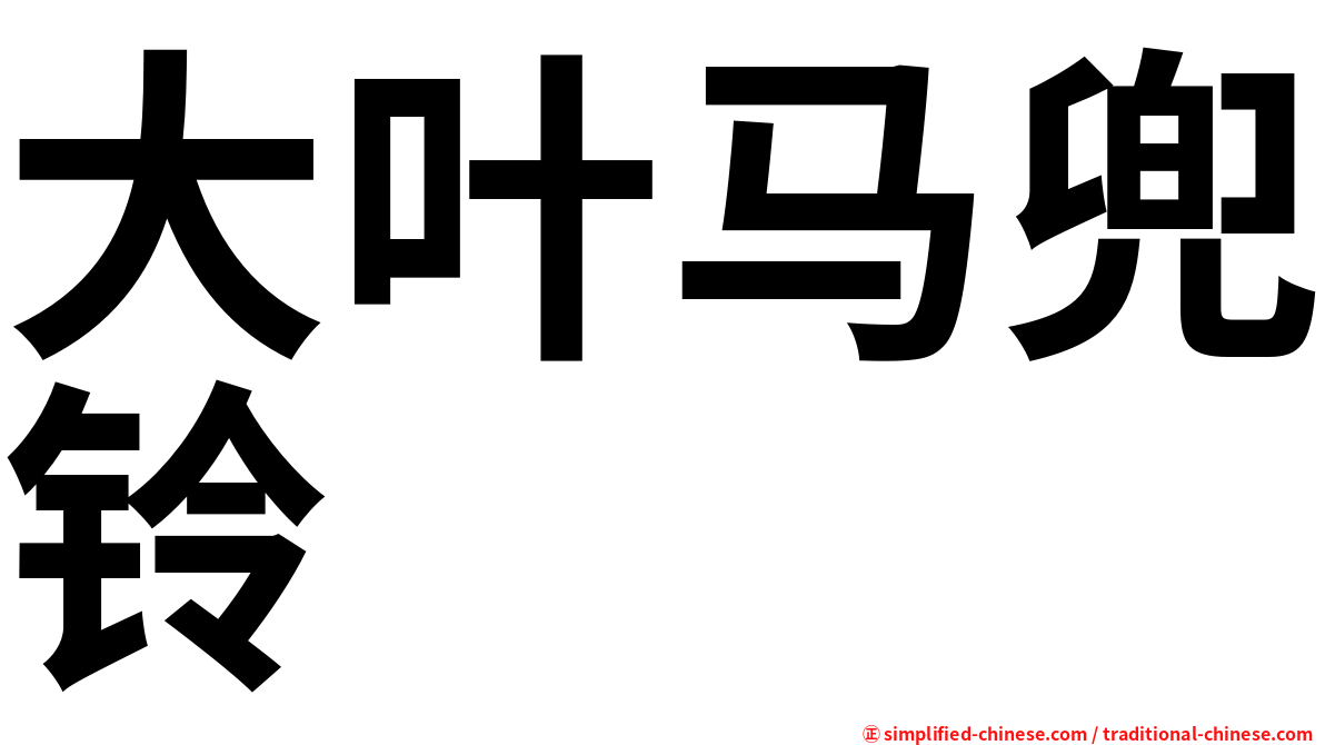 大叶马兜铃