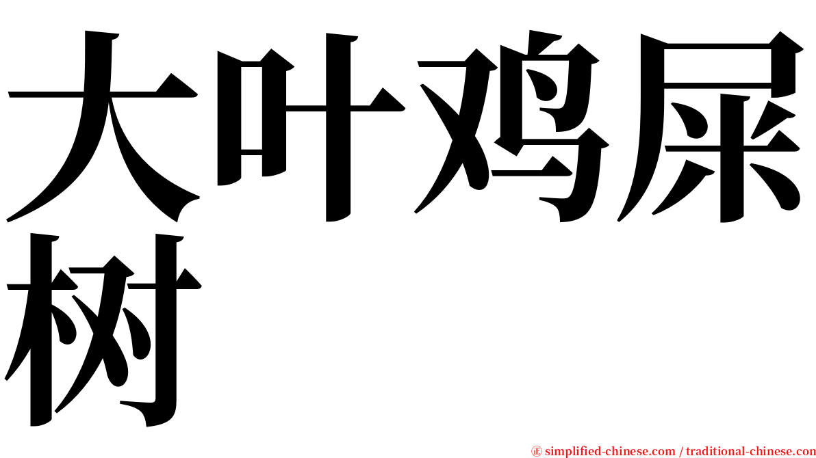 大叶鸡屎树 serif font