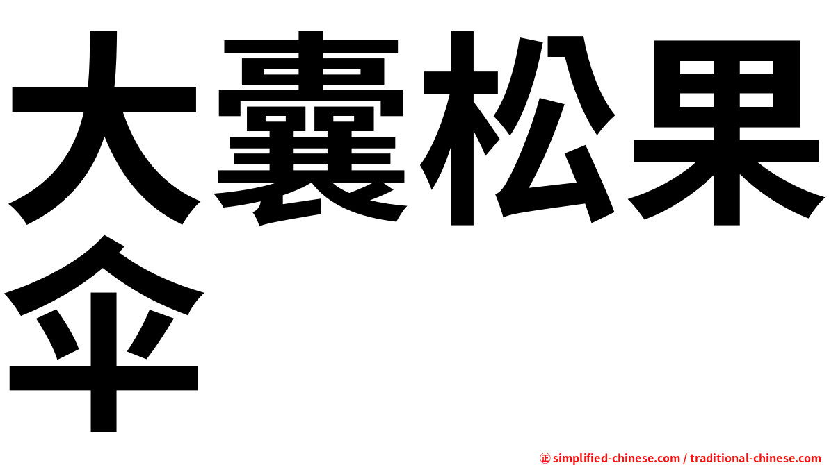 大囊松果伞