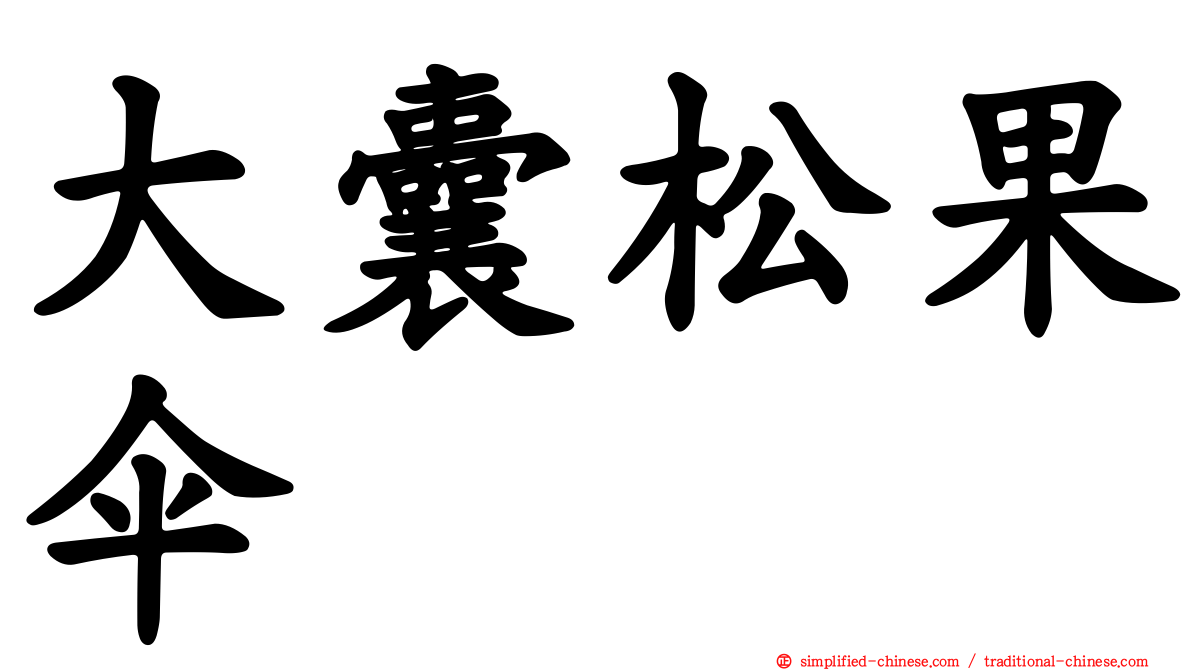 大囊松果伞