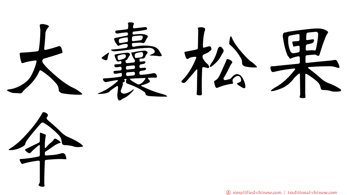 大囊松果伞