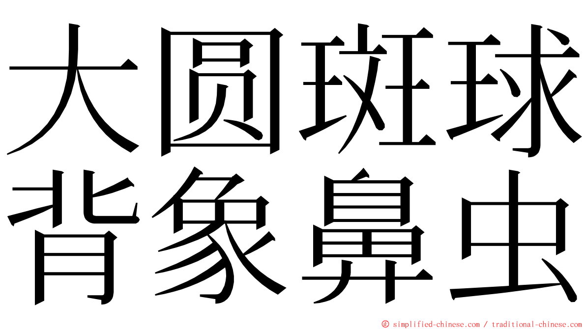 大圆斑球背象鼻虫 ming font