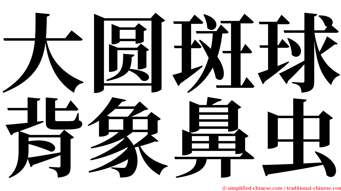 大圆斑球背象鼻虫 serif font