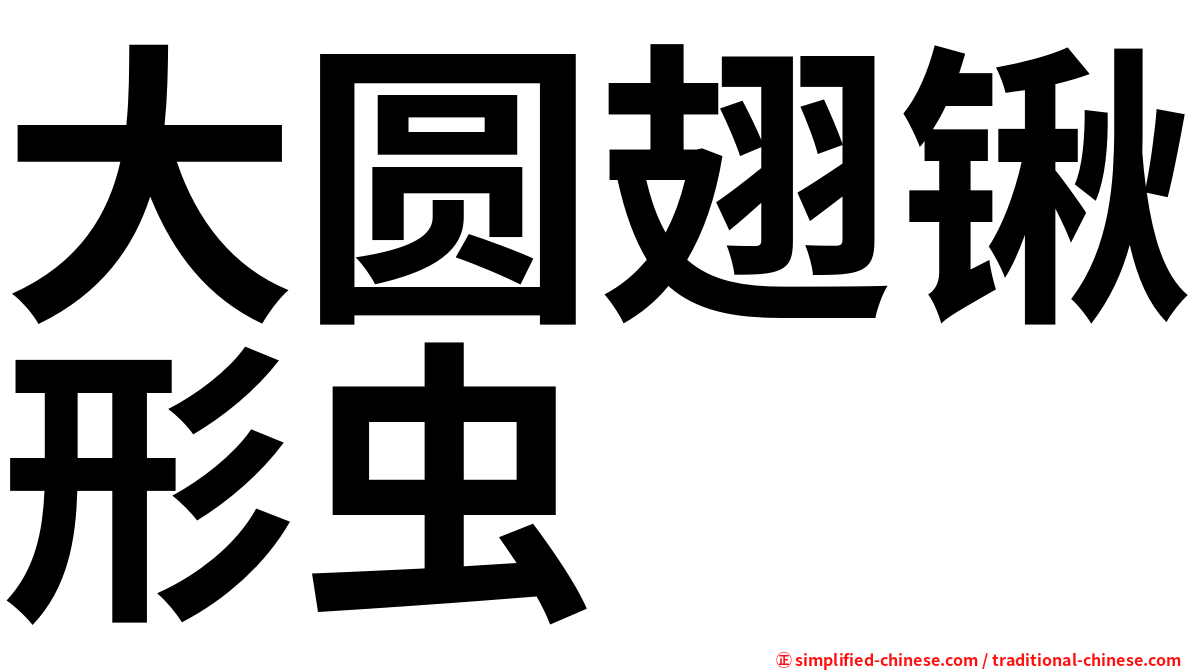 大圆翅锹形虫