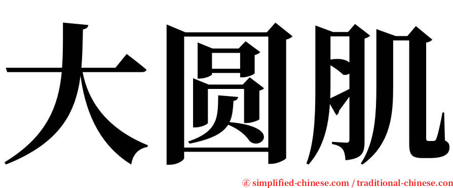 大圆肌 serif font