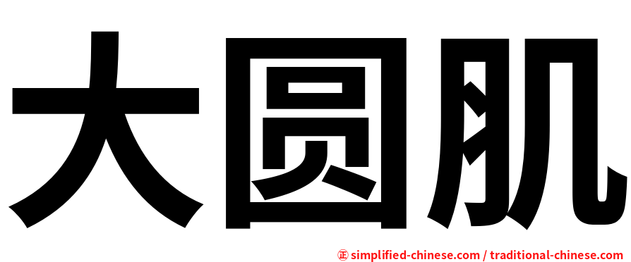 大圆肌
