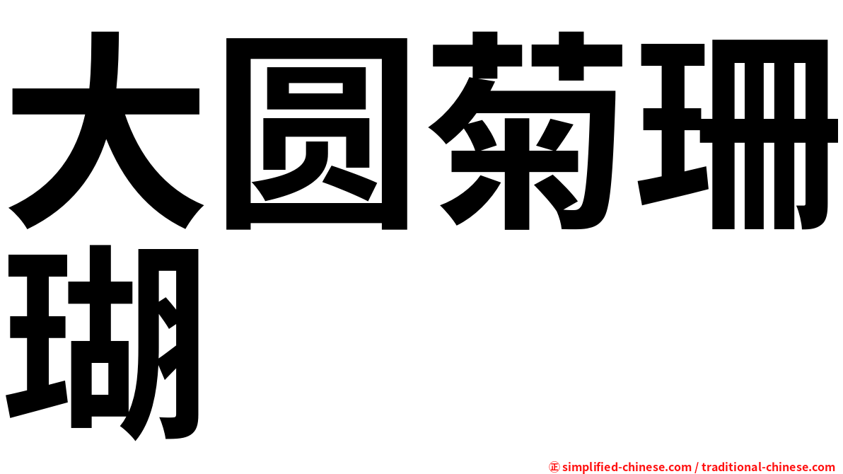 大圆菊珊瑚