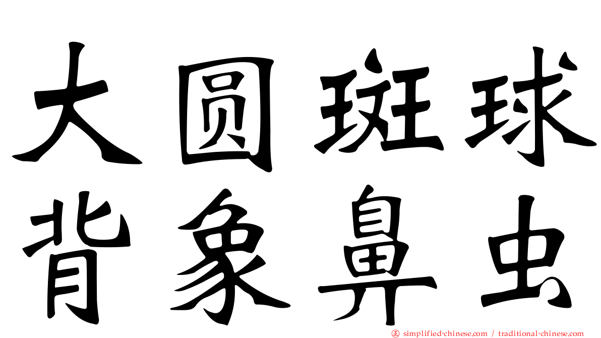 大圆斑球背象鼻虫