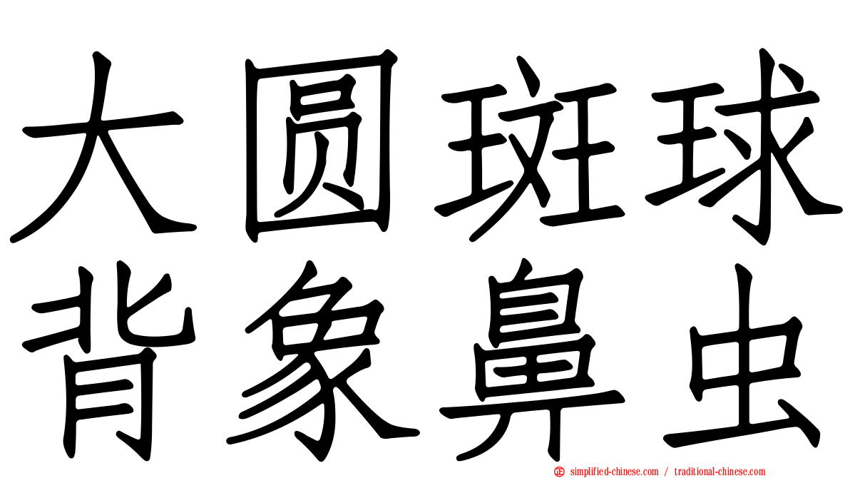 大圆斑球背象鼻虫