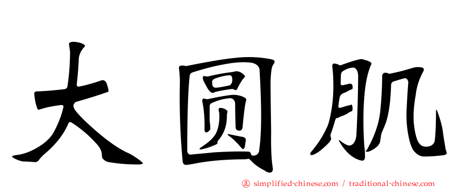 大圆肌