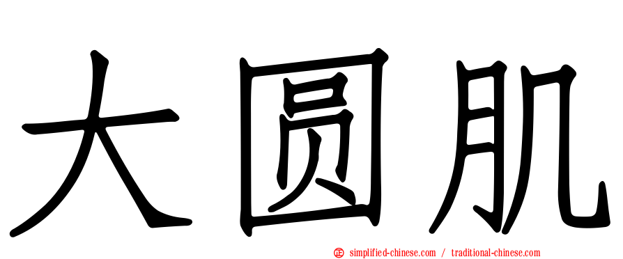 大圆肌