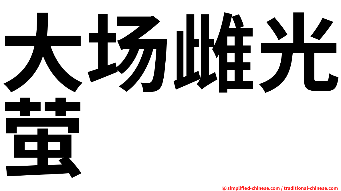 大场雌光萤