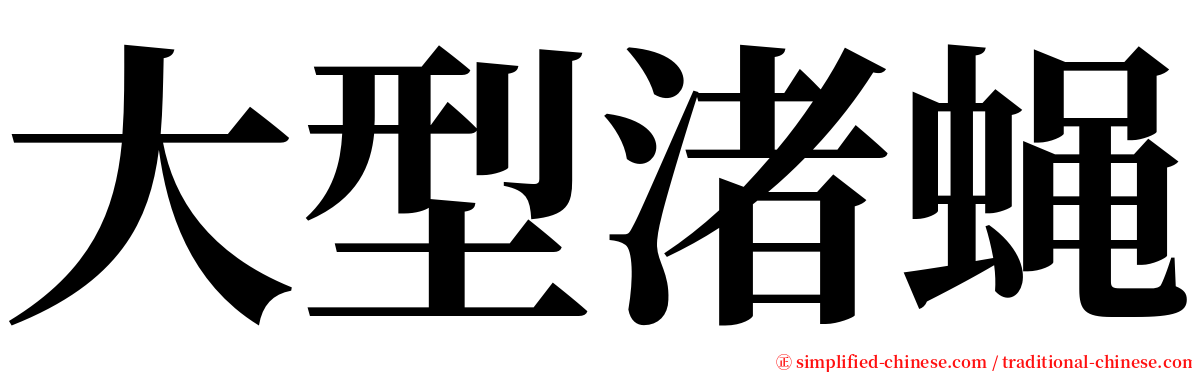 大型渚蝇 serif font