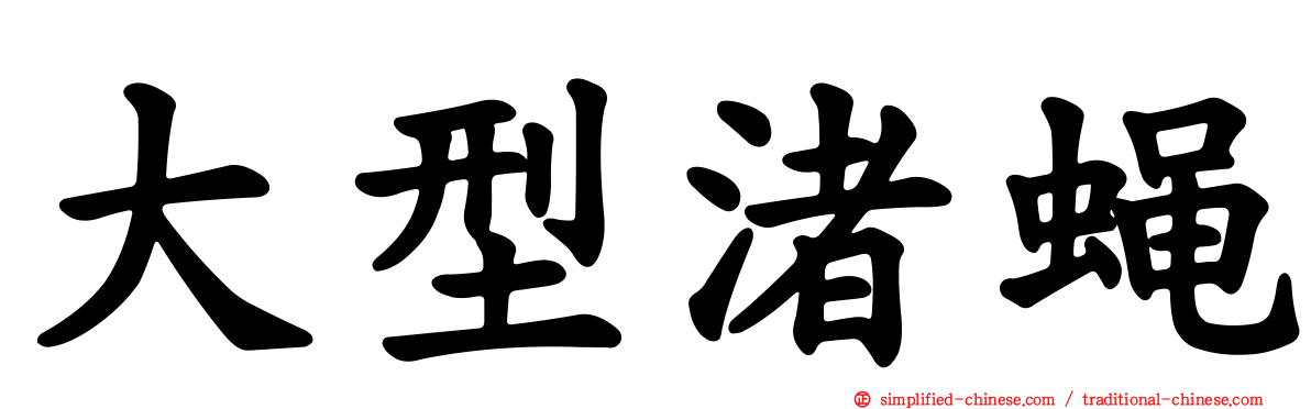 大型渚蝇