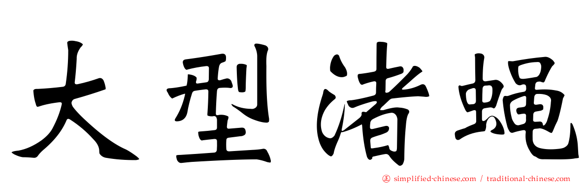 大型渚蝇